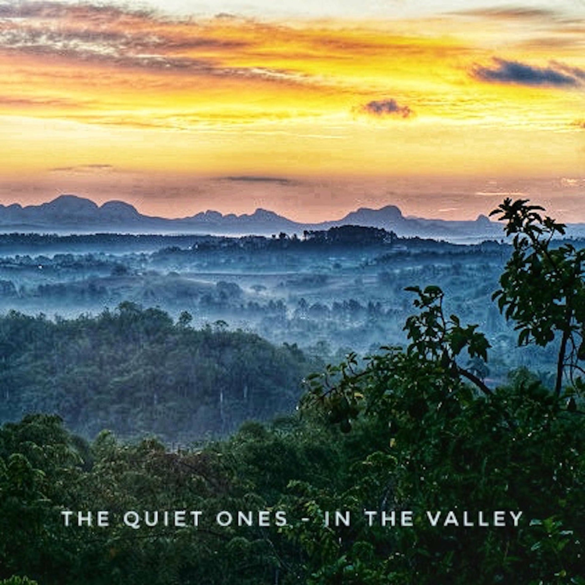 Album cover of In The Valley