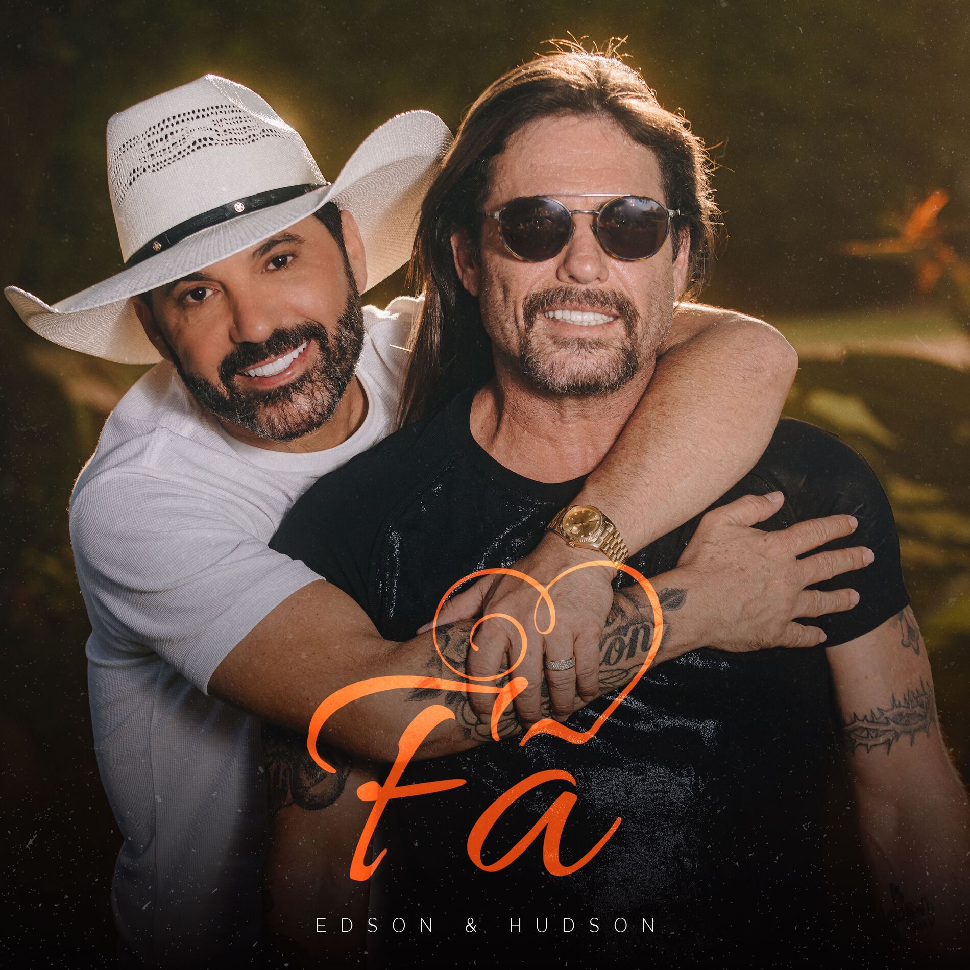 Album cover of Fã