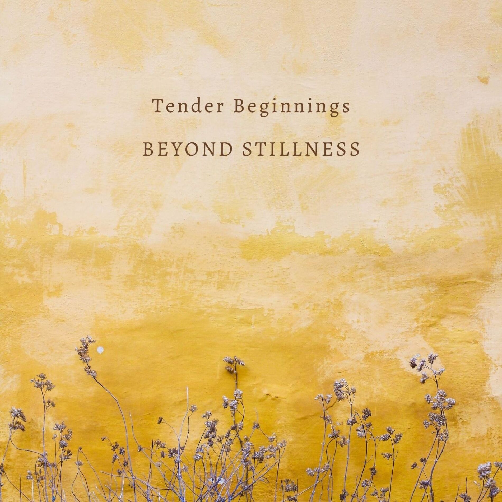 Album cover of Tender Beginnings