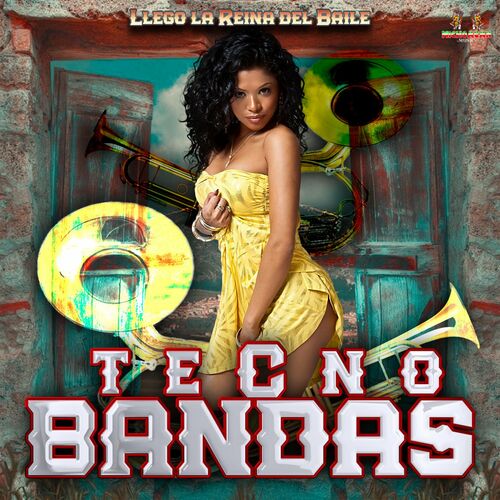 Tecno Bandas - Llego La Reina Del Baile: lyrics and songs | Deezer