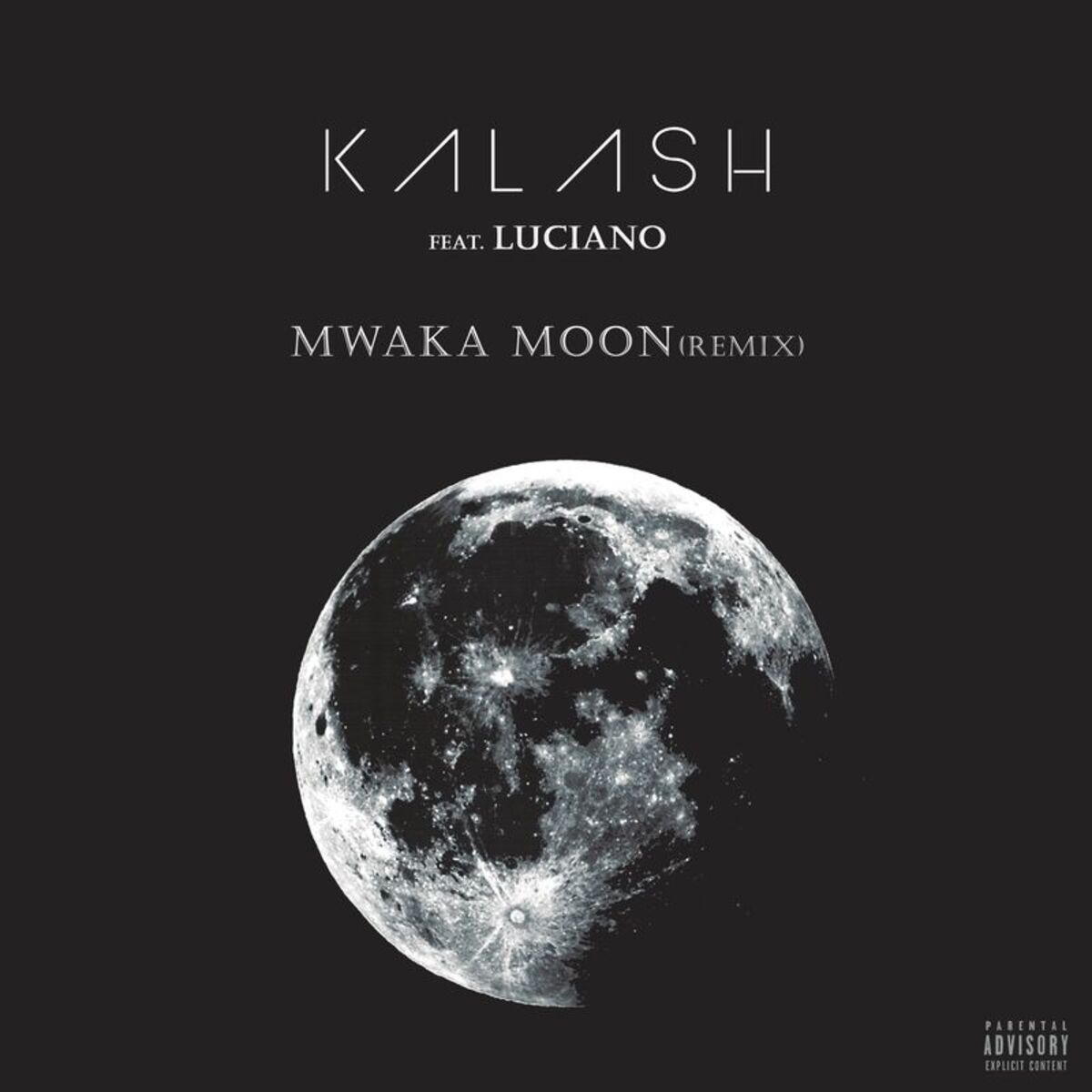 Album cover of Mwaka Moon