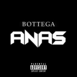 Cover of Bottega