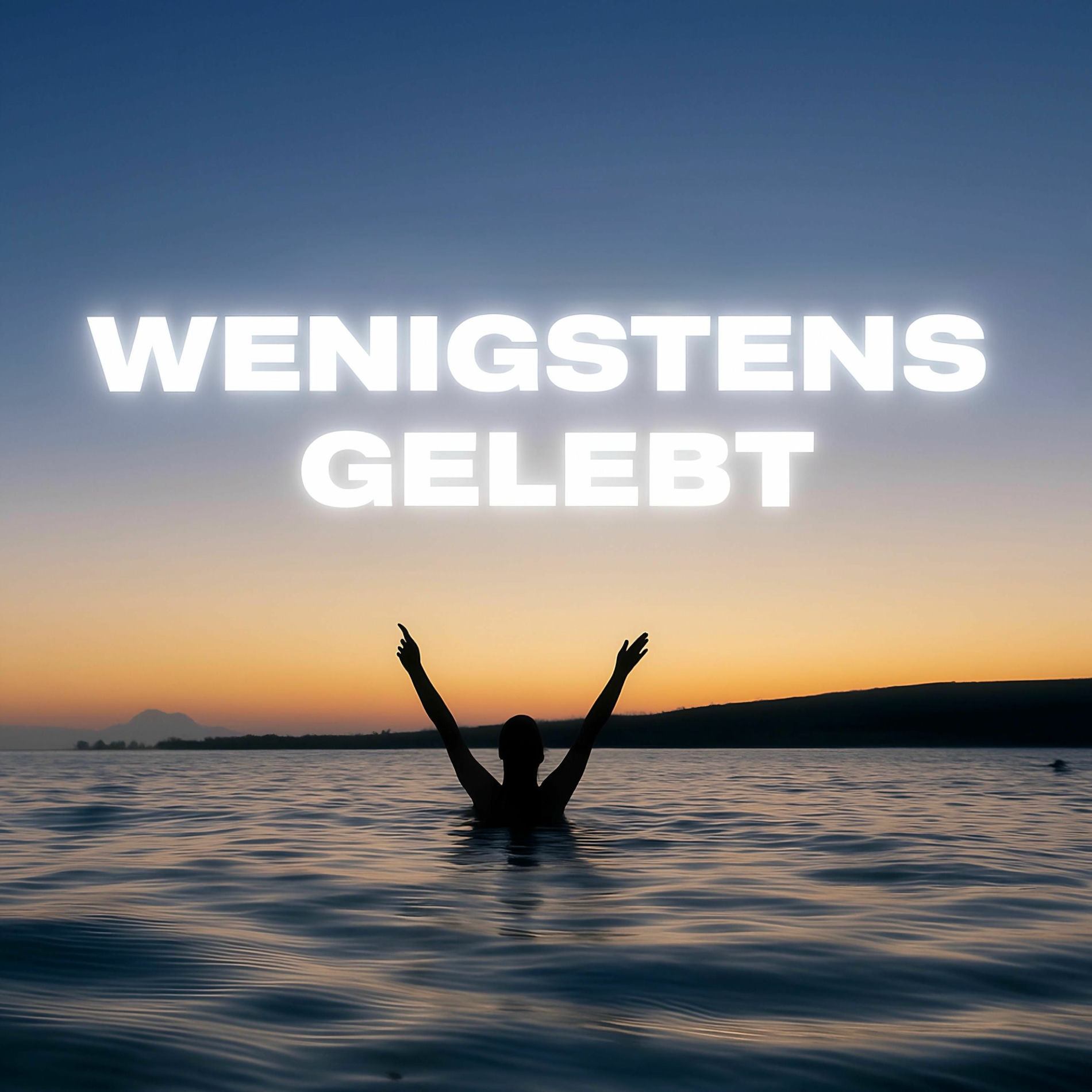 Album cover of WENIGSTENS GELEBT