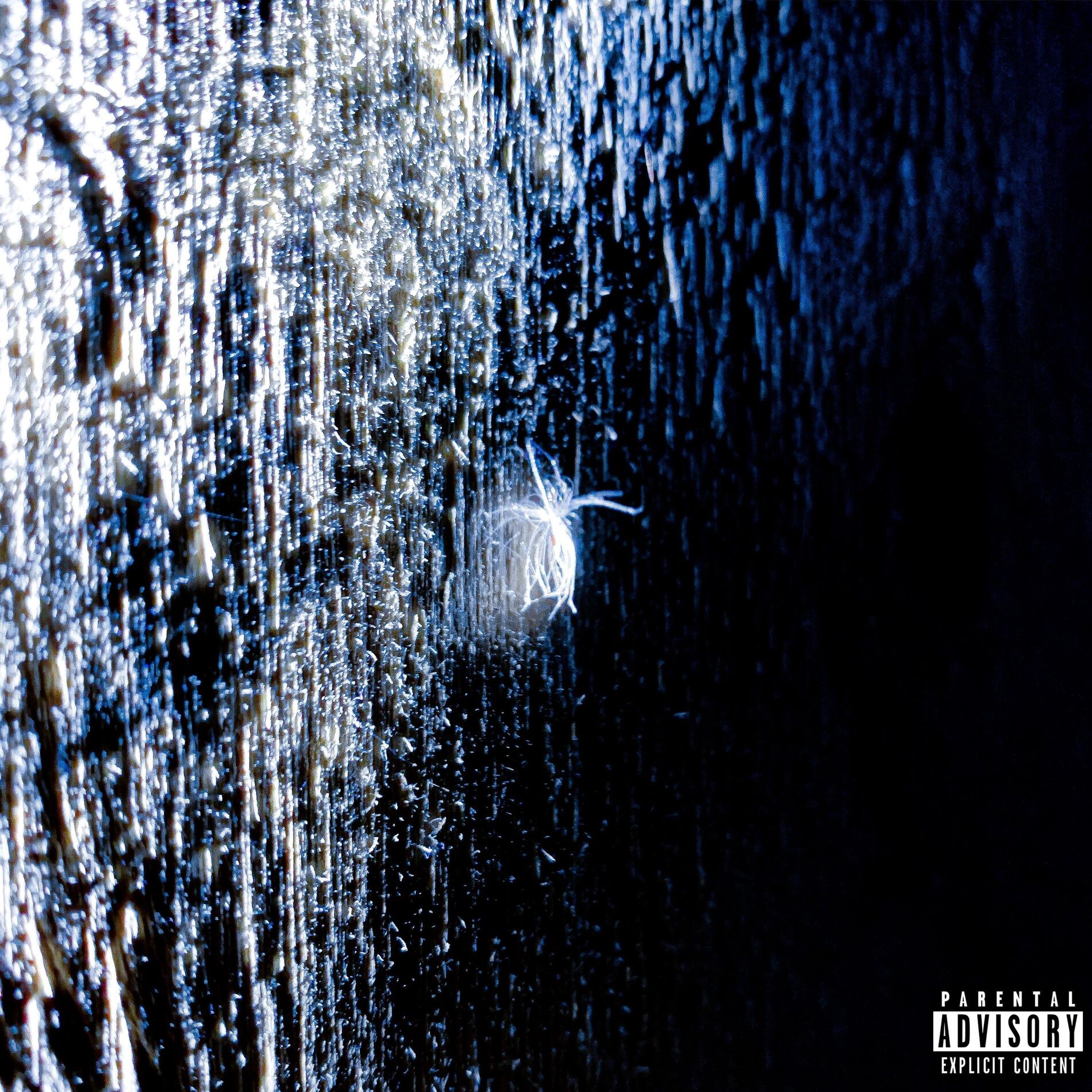 Album cover of Transitioning