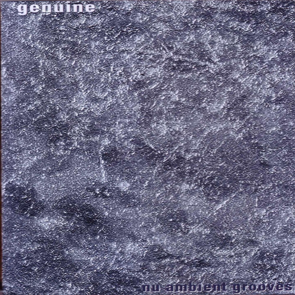 Picture of Nu Ambient Grooves