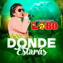 Cover of Donde Estarás