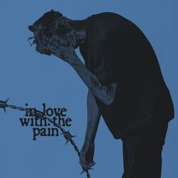 Cover of In Love With The Pain