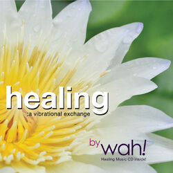 Cover of Healing: A Vibrational Exchange