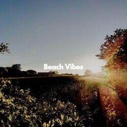 Cover of Beach Vibes