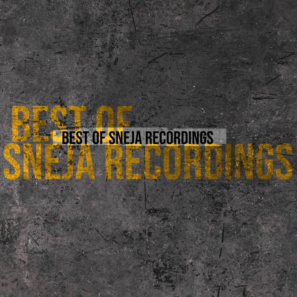 Album cover of BEST OF SNEJA RECORDINGS, 2024