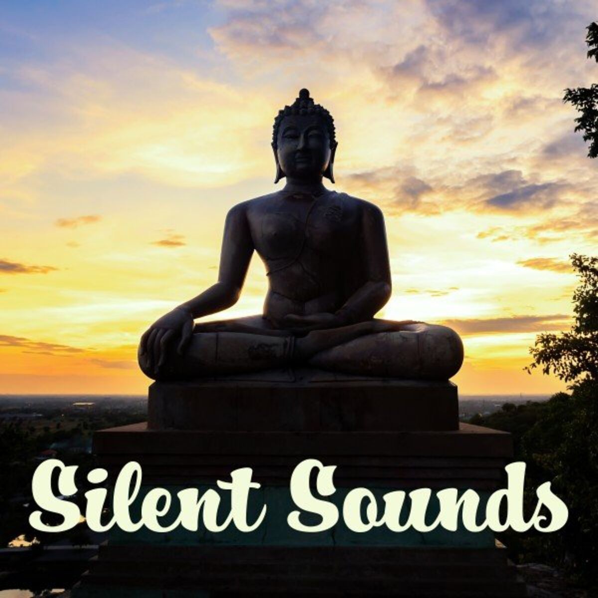 Album cover of Silent Sounds