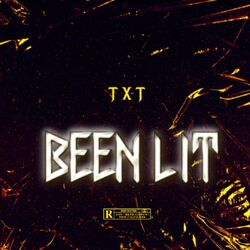 Cover of BEEN LIT