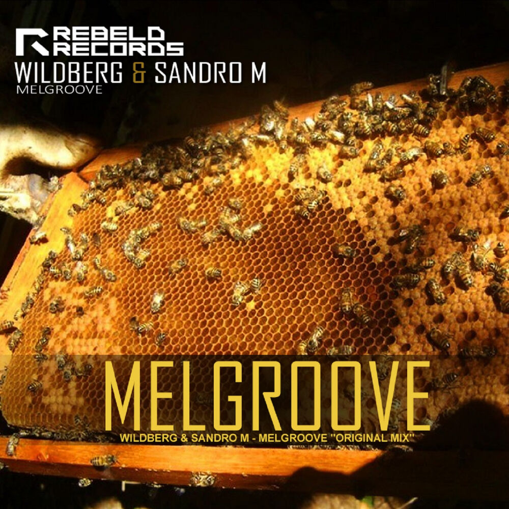 Picture of Melgroove