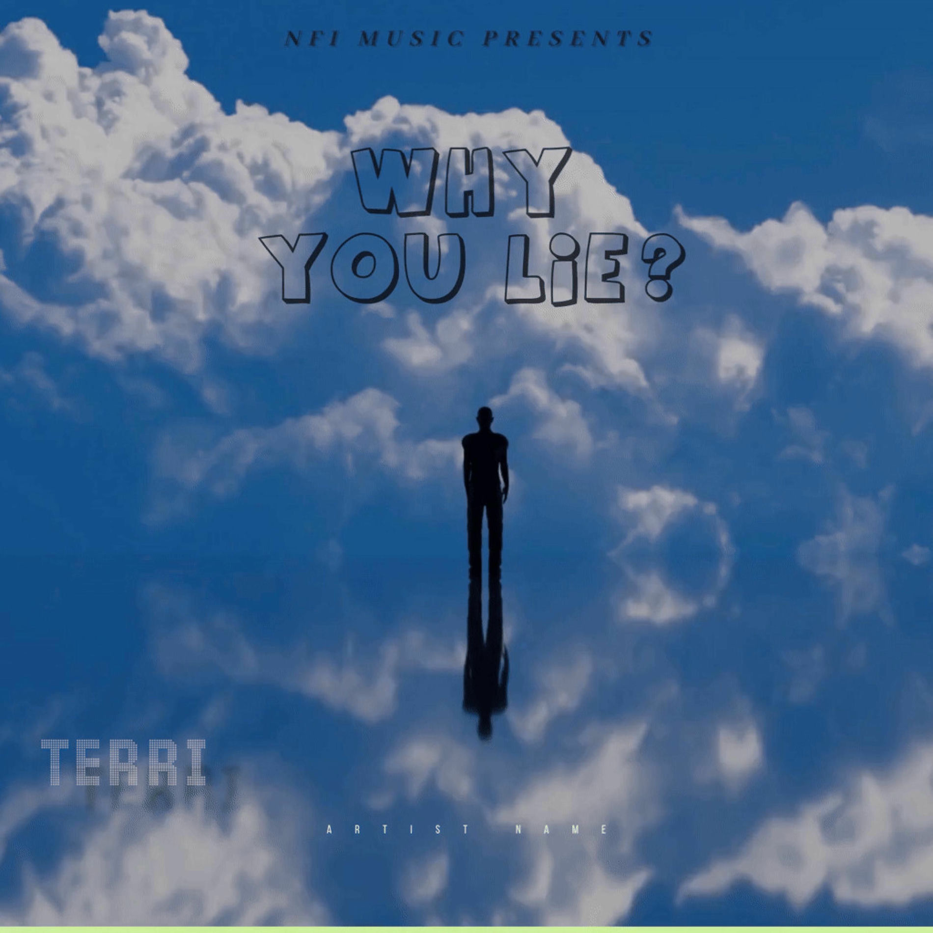 Album cover of Why You Lie