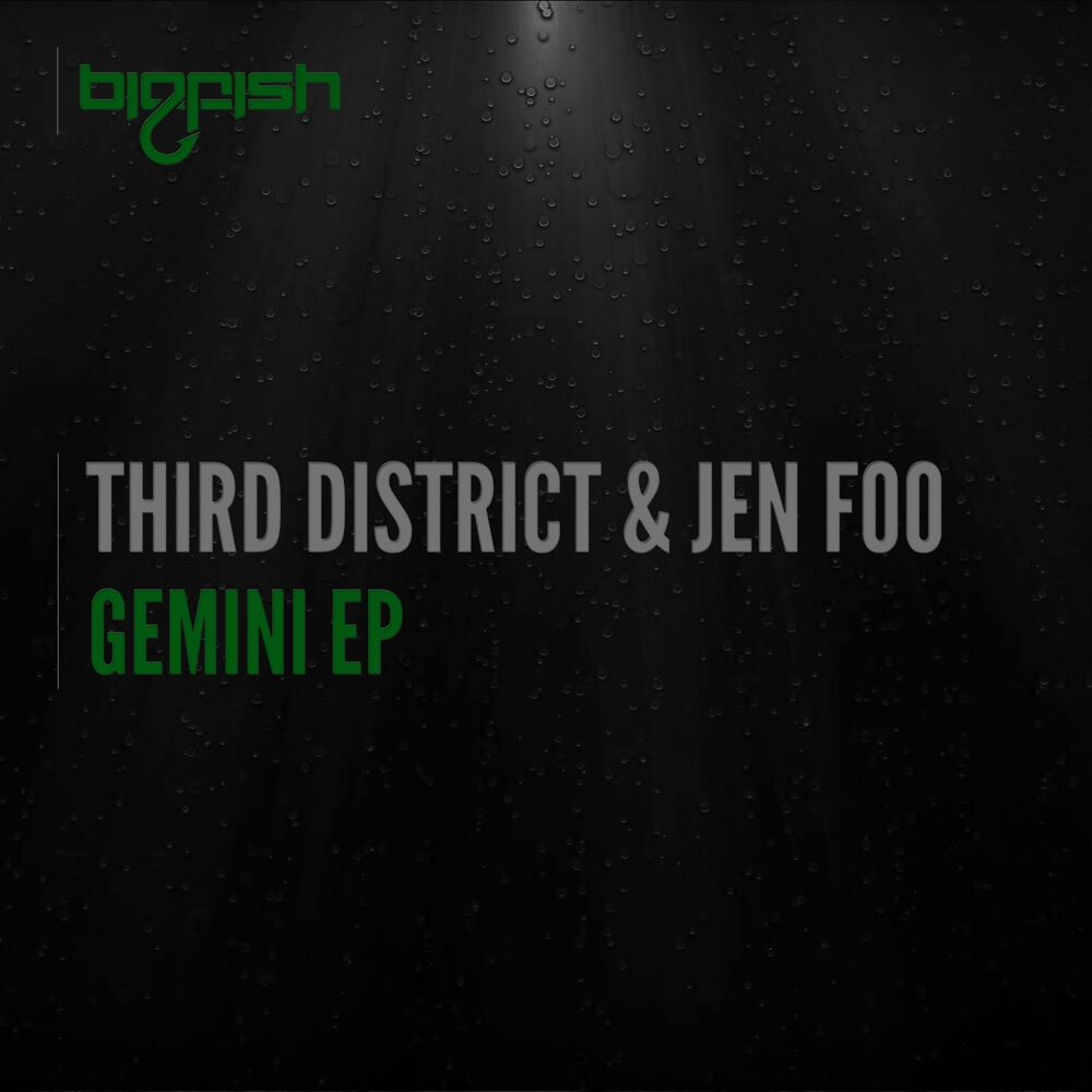 Picture of Gemini EP