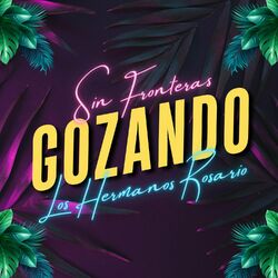 Cover of Gozando