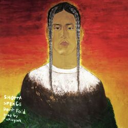 Cover of Don't Fold