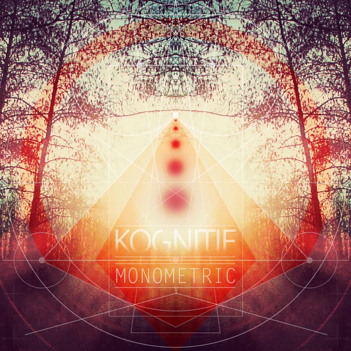 Album cover of Monometric