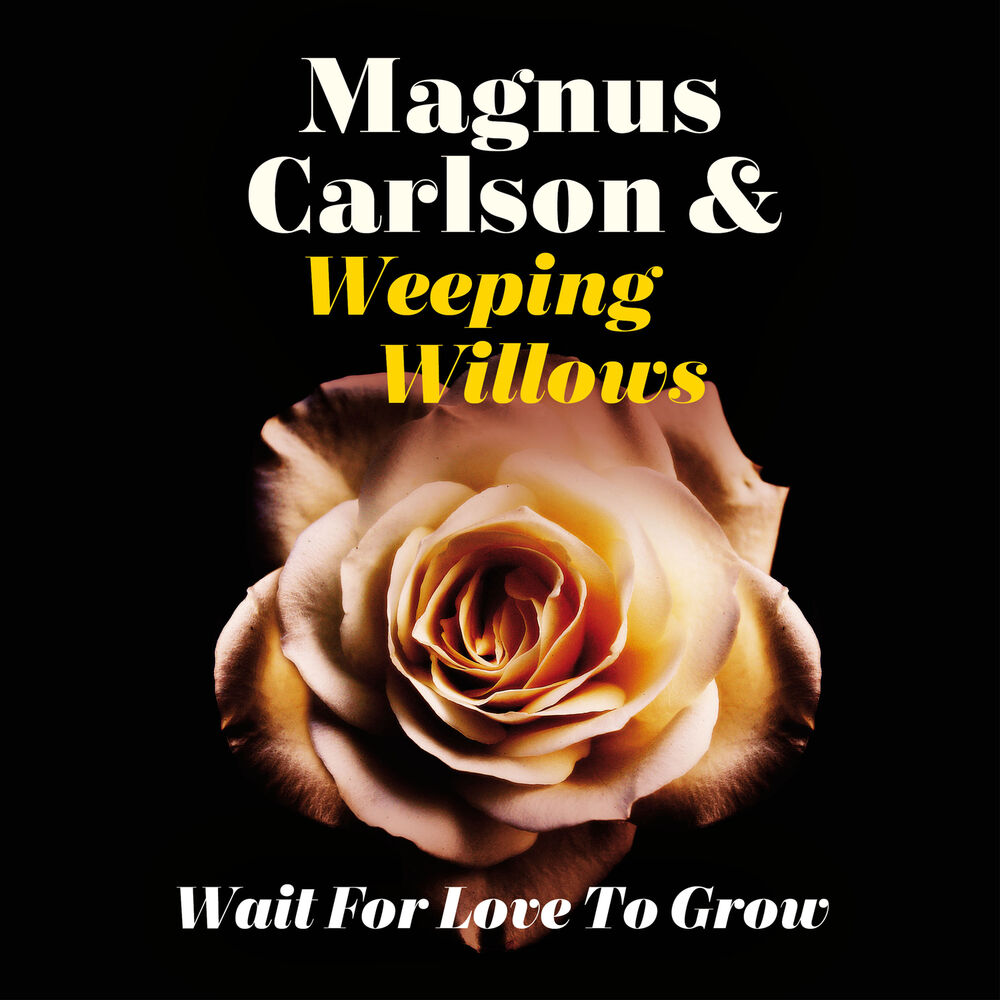 Picture of Wait for Love to Grow