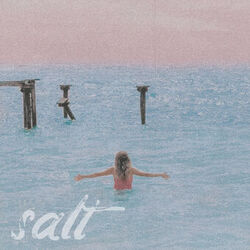 Cover of Salt