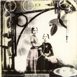 Cover of Evanescence