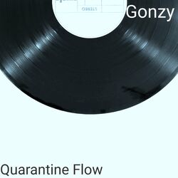 Cover of Quarantine Flow