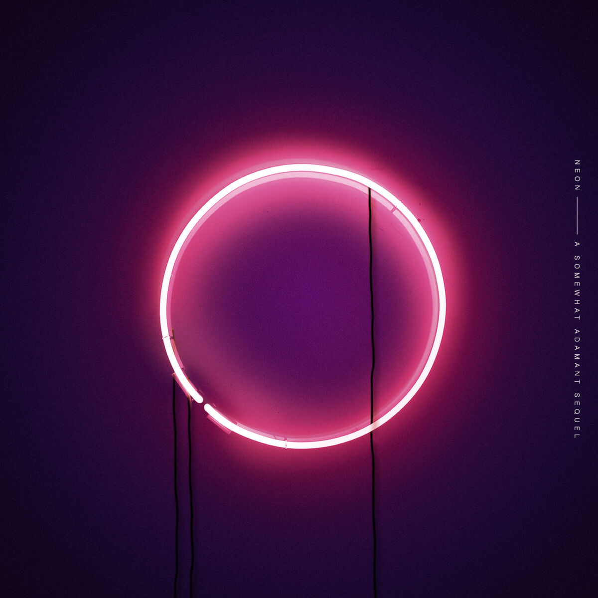 Album cover of Neon: A Somewhat Adamant Sequel