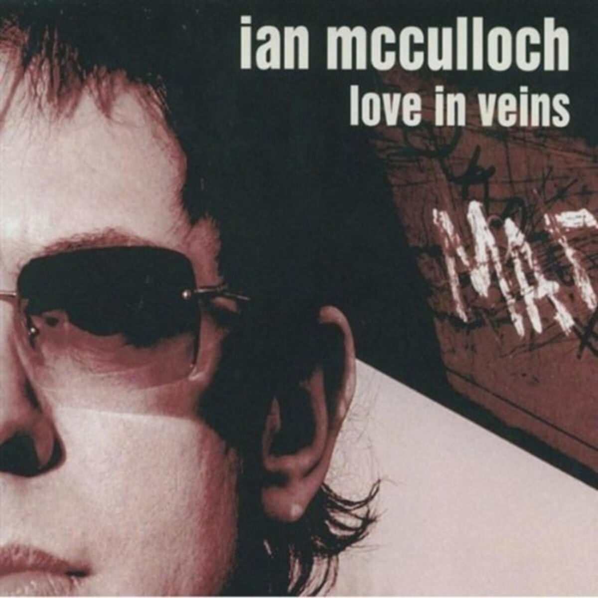 Album cover of Love in Veins