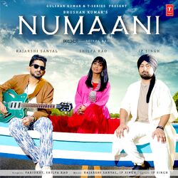 Cover of Numaani