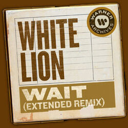 Cover of Wait (Extended Remix)