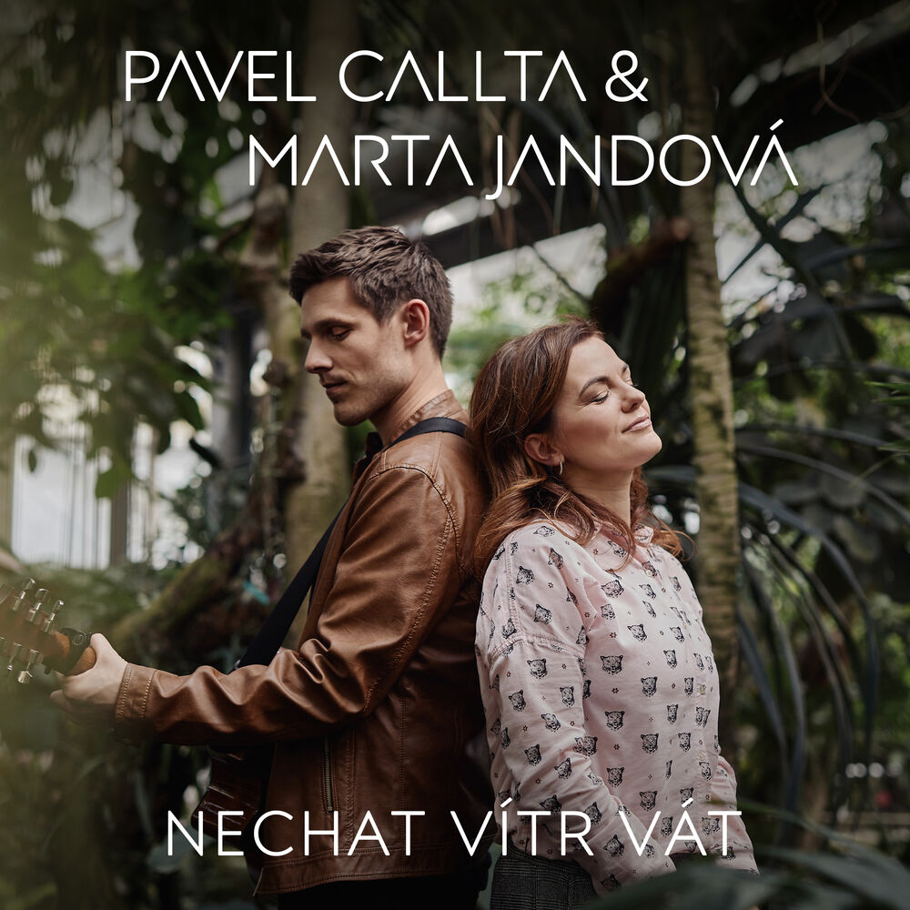 Picture of Nechat vítr vát