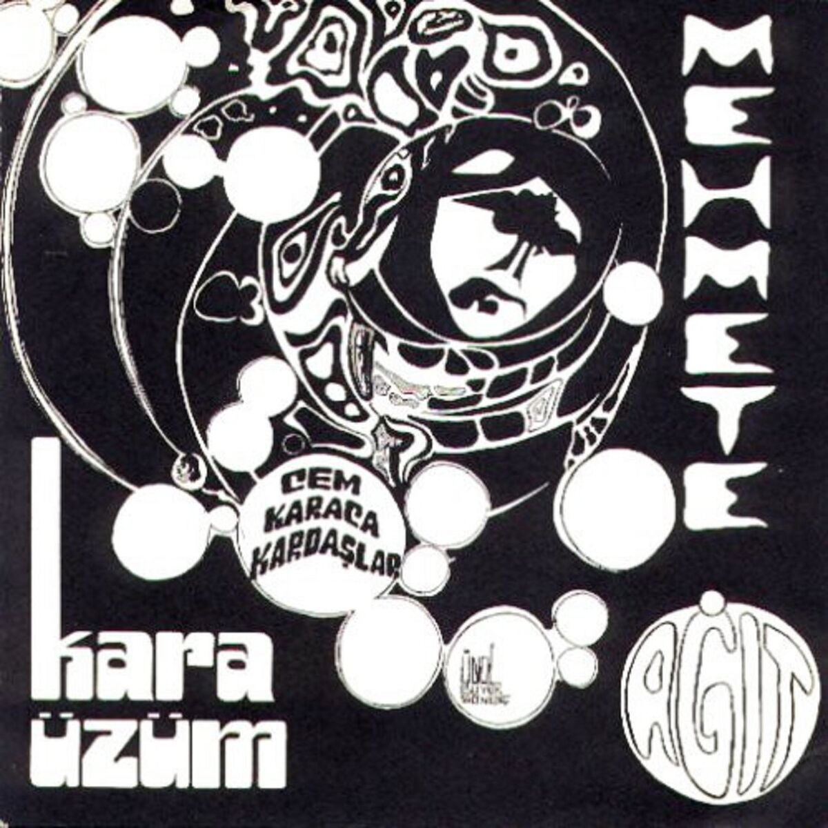 Album cover of Kara Üzüm / Mehmet'e Ağıt