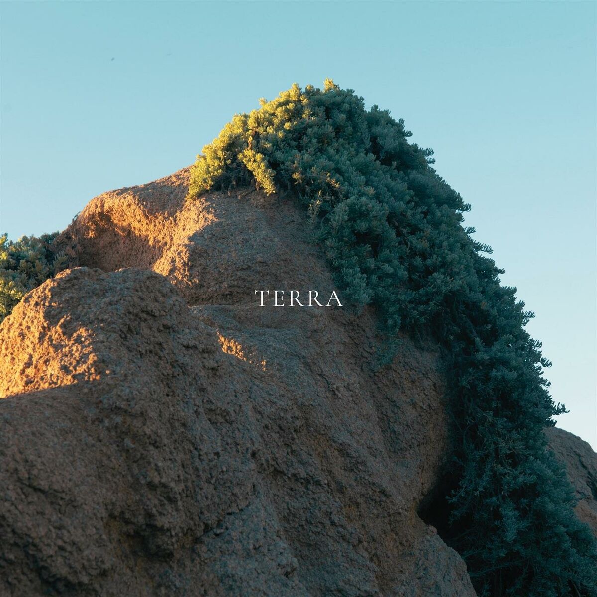 Album cover of Terra