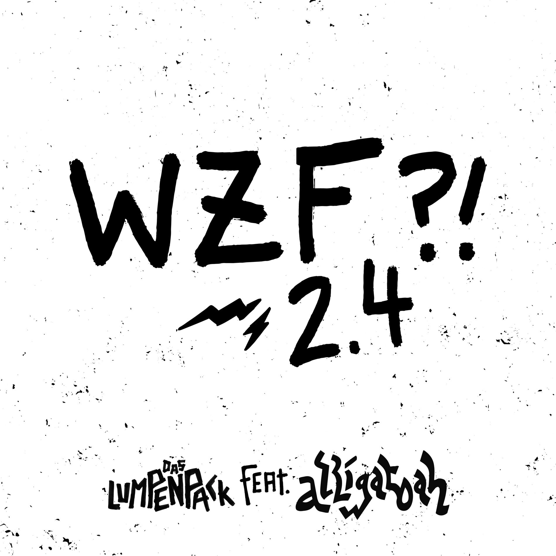 Album cover of WZF?! 2.4