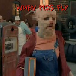 Cover of When Pigs Fly