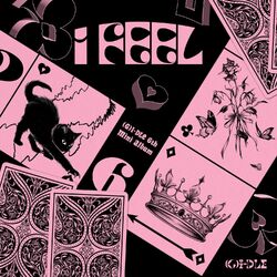 Cover of I feel
