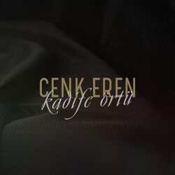 Cover of Kadife Örtü