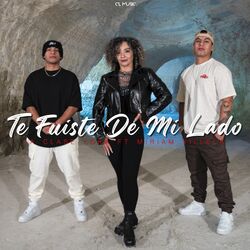 Cover of Te Fuiste de Mi Lado