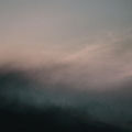 morning mist