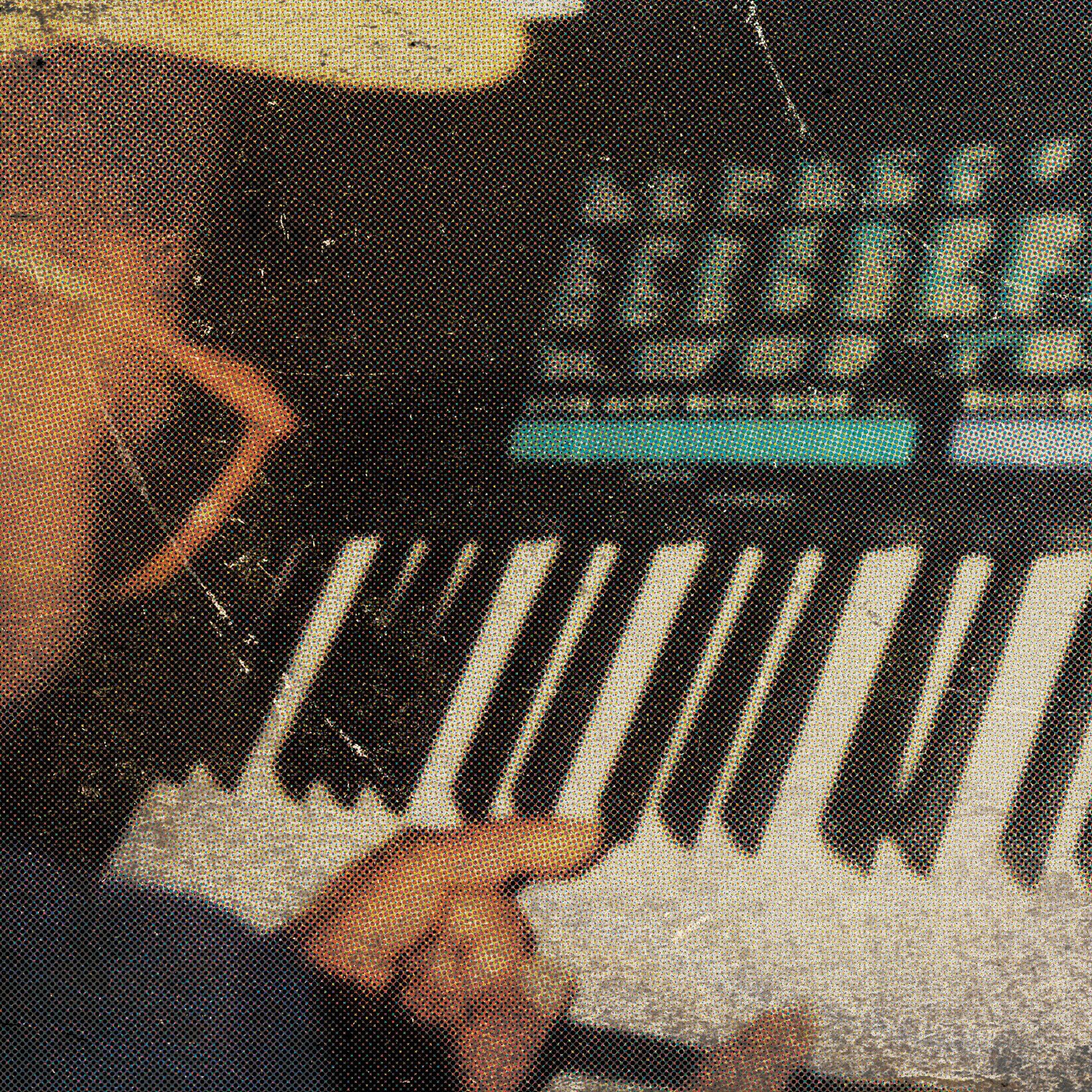 Album cover of Lil Birdie