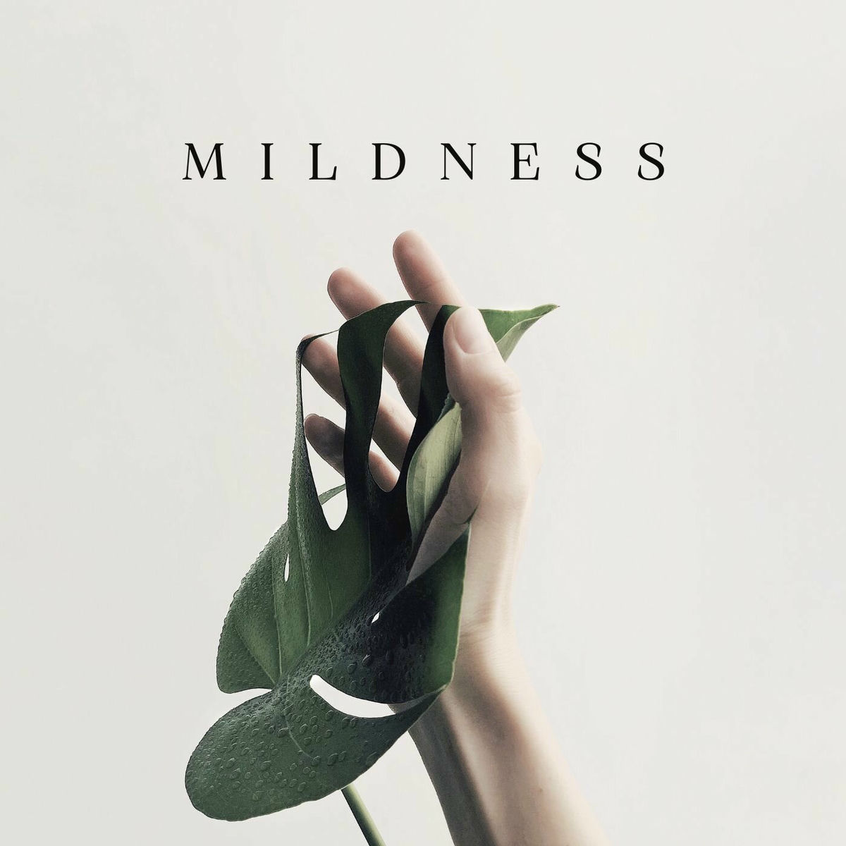 Album cover of Mildness