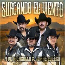 Cover of Surcando El Viento