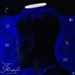 Cover of Shopla