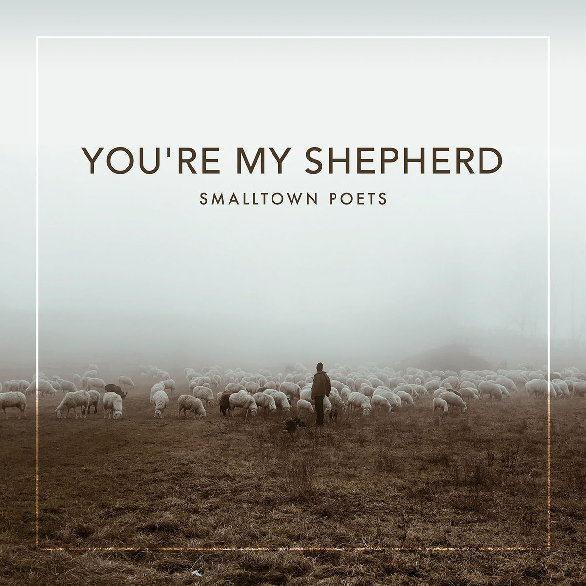 Album cover of You're My Shepherd