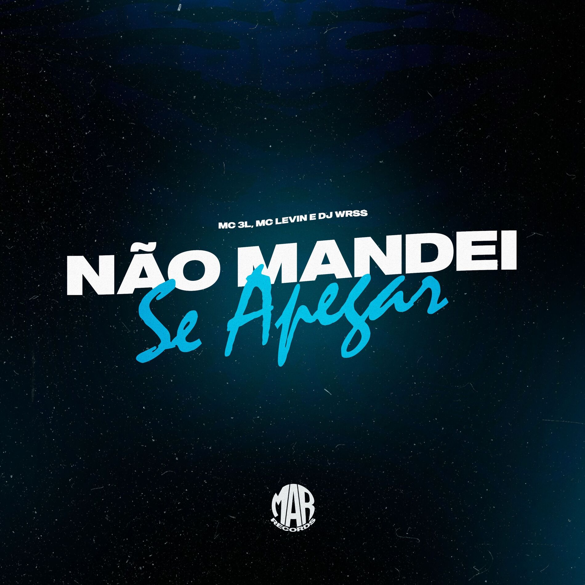 Album cover of Não Mandei Se Apegar