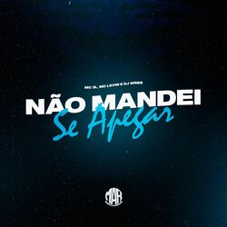 Cover of Não Mandei Se Apegar