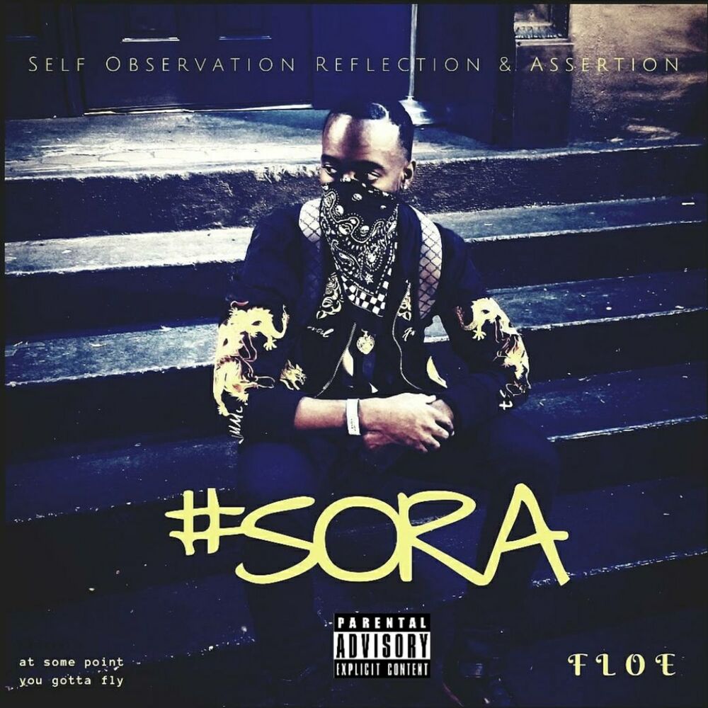 Picture of Sora (Self Observation Reflection & Assertion)