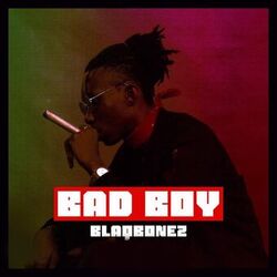 Cover of Bad Boyz