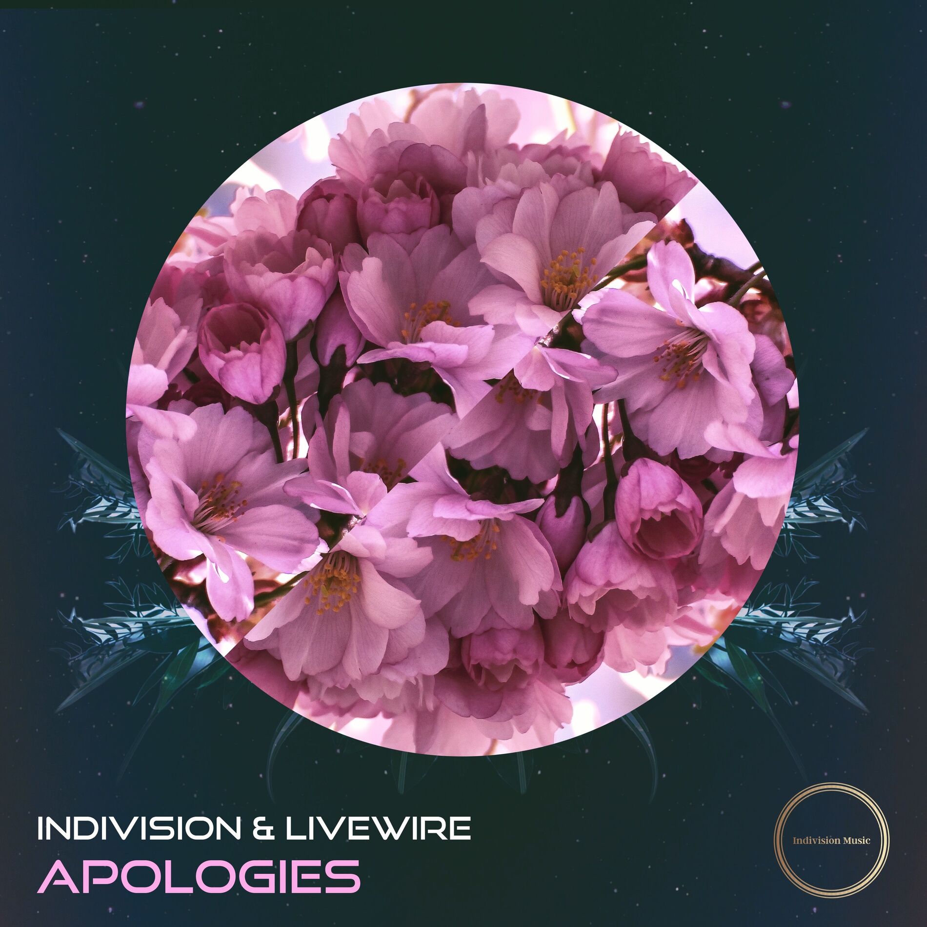 Album cover of Apologies