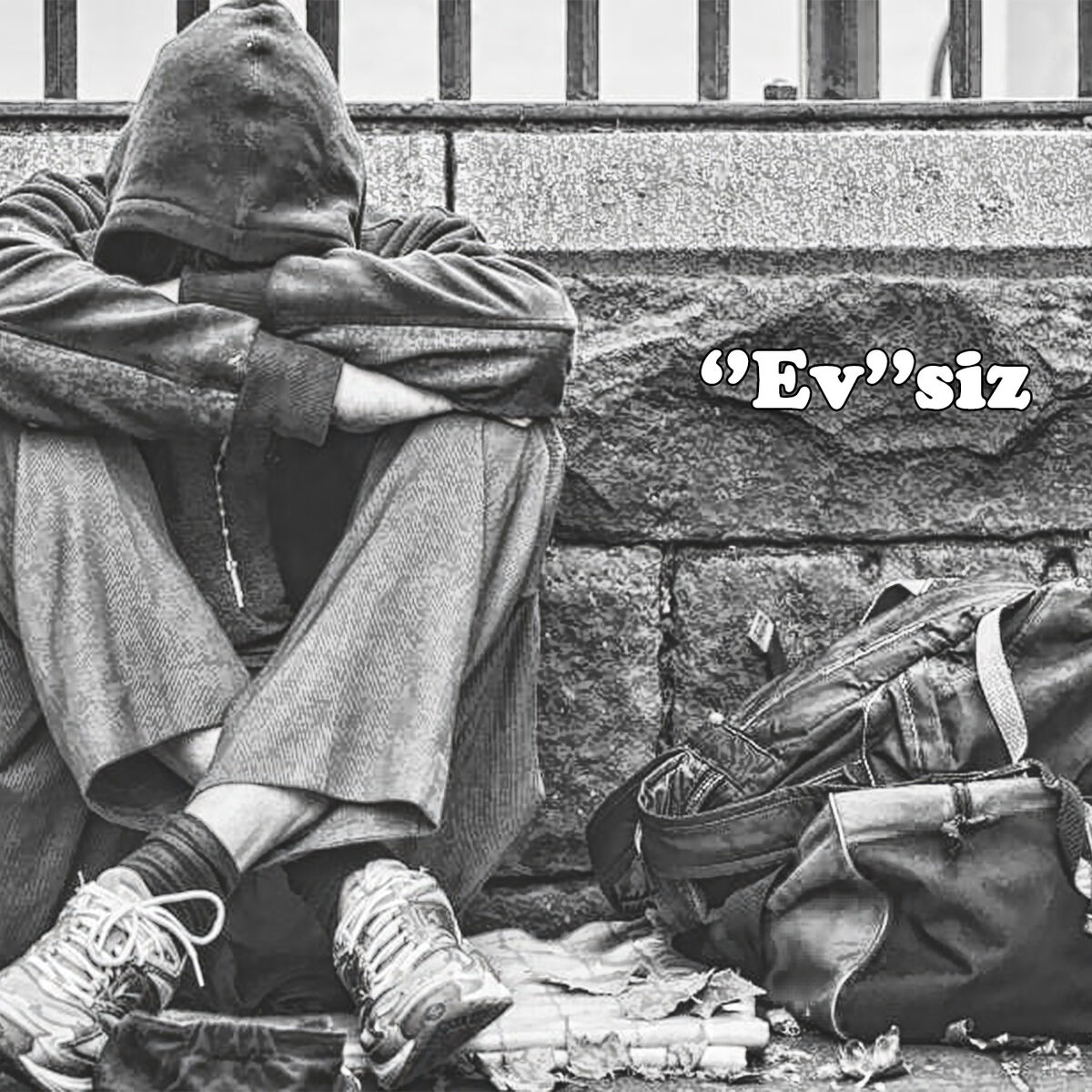 Album cover of Evsiz